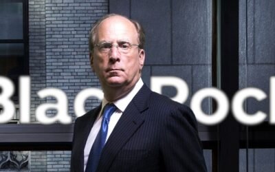 Empresa mendocina afirma que la llegada de BlackRock a la Argentina podría traer beneficios para el mercado cripto local