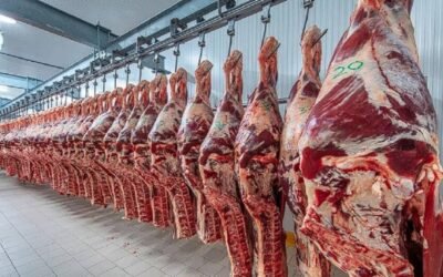 ¿Argentina está cara en dólares en 2024? Depende del producto o servicio que compres