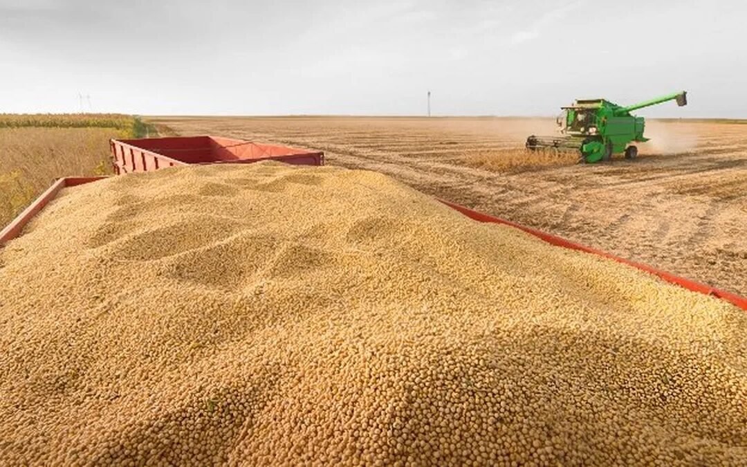 Guiño al campo: no se renovaría el recargo de tasa para productores que mantengan su cosecha