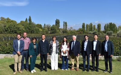 Delegación china visitó Mendoza para intercambiar experiencias sobre el mundo del vino