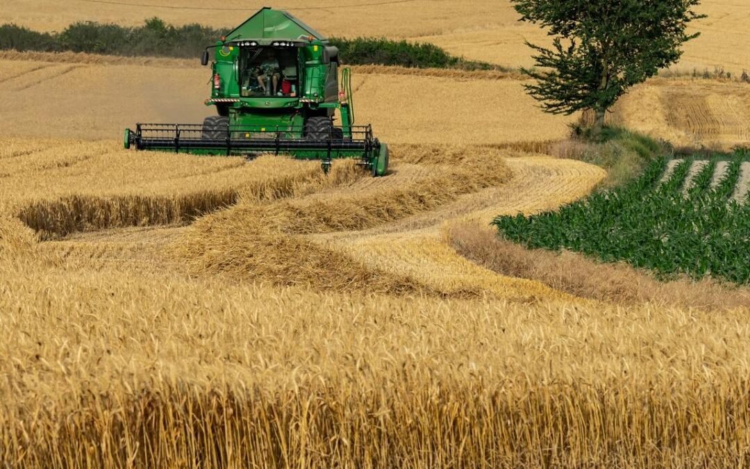 Economía oficializó la eliminación del Fondo Estabilizador del Trigo Argentino