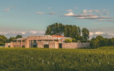 De Valle de Uco a San Rafael: Bodegas Bianchi festeja la versatilidad del Malbec