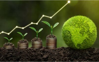 Finanzas Sostenibles: la economía «verde» crece lentamente pero aumenta cada vez más la oferta