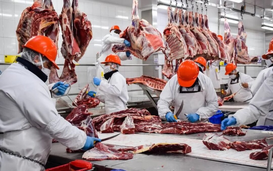 Cuota Hilton: distribuyen más de 28.000 toneladas de carne de alta calidad para exportar a la Unión Europea