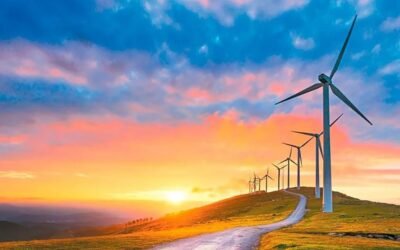 Cada vez más empresas apuestan por la sustentabilidad