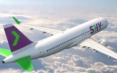 Cielos abiertos en Argentina: La primer aerolínea low cost que está interesada en volar por el país tras la desregulación aerocomercial